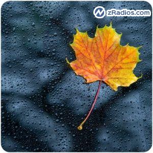 Radio: NATURE RADIO RAIN