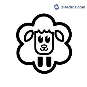 Radio: Vision