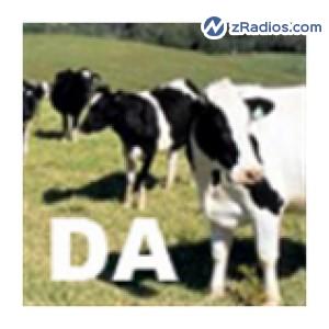 Radio: Dary Air Radio