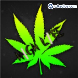 Radio: High Life Jamz