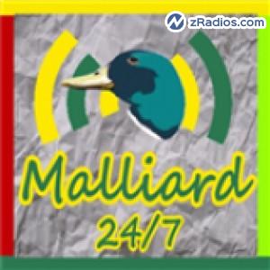 Radio: Malliard 24/7