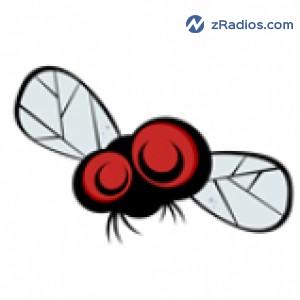 Radio: My Fly Radio