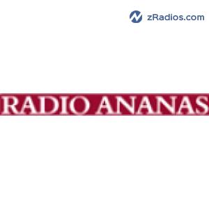 Radio: Radio Ananas 91.0