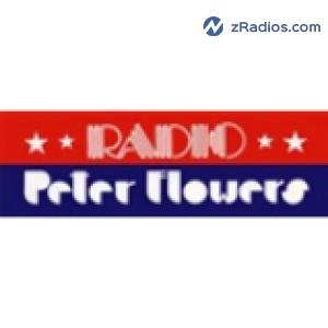 Radio: Radio Peter Flowers