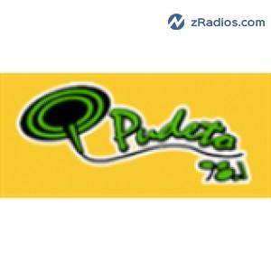 Radio: Radio Pudeto 98.1